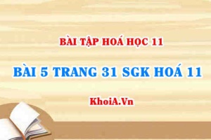 Bài 5 trang 31 SGK Hoá 11: Nội dung về Nitơ